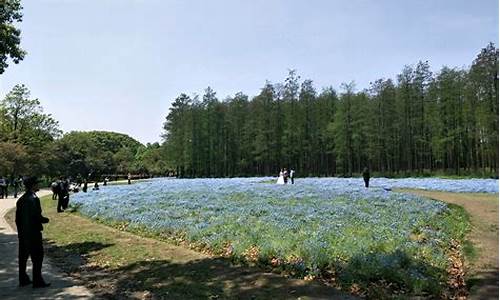 共青森林公园一日游攻略_共青森林公园一日游攻略图