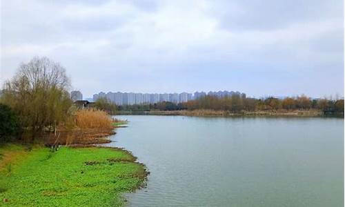 洋湖湿地公园要门票吗_长沙洋湖湿地公园要门票吗