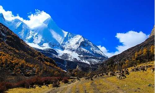 到稻城亚丁旅游攻略_西安到稻城亚丁旅游攻略