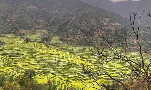 江西婺源旅游攻略 景点_江西婺源旅游攻略 景点图片_1