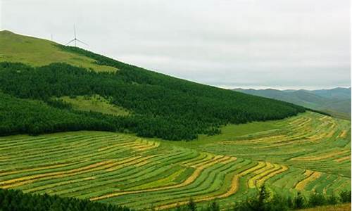 草原天路自驾游攻略2日游路线图片大全_草原天路自驾游攻略2日游路线图片大全集