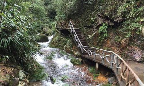 株洲神龙谷旅游团怎么样_株洲神龙公园门票价格