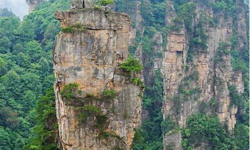 张家界旅游攻略带孩子五天的地方_张家界旅游攻略带孩子五天的地方有哪些