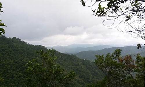 十万大山自驾游攻略_十万大山一日游