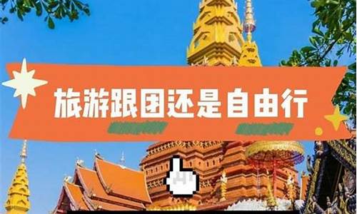 跟团旅游和自由行哪个好_跟团旅游划算还是自由行划算的区别