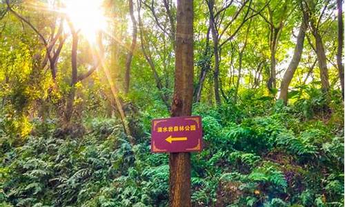 番禺滴水岩森林公园怎么样_广州番禺滴水岩森林公园附近景观推荐