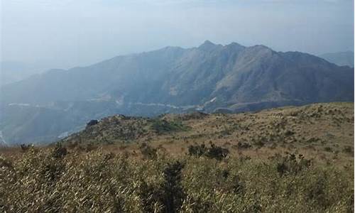 漳州大芹山需要门票_漳州大芹山