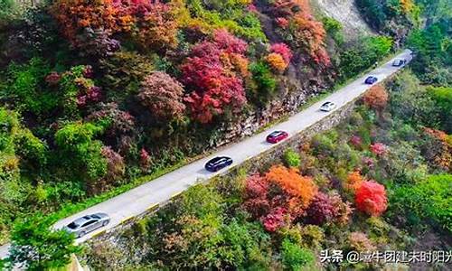 翠华山游玩攻略_翠华山旅游攻略一日游推荐