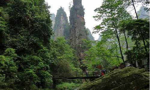 武汉到张家界旅游攻略二日游_武汉到张家界旅游攻略二日游最佳路线