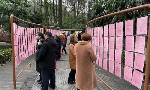 南宁人民公园相亲角在哪里_南宁人民公园相亲角在哪里啊