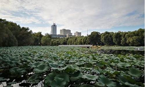 保定南湖公园_保定南湖公园什么时候开放