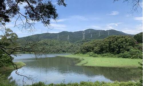 厦门天竺山森林公园门票多少钱_厦门天竺山森林公园门票多少钱一张