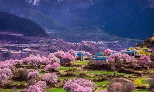 林芝旅游攻略桃花_林芝桃花旅游攻略游攻略