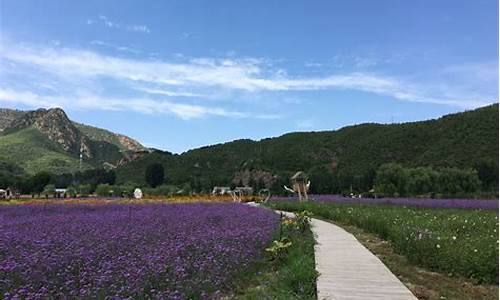 人间花海景区游玩攻略_人间花海景区门票多少钱